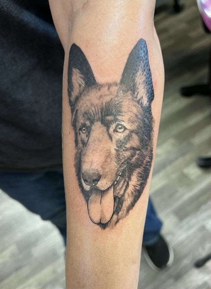 Black and grey realistic German shepherd portrait forearm tattoo